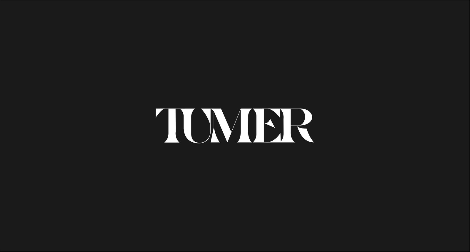 قبل: صورة مشروع TUMER