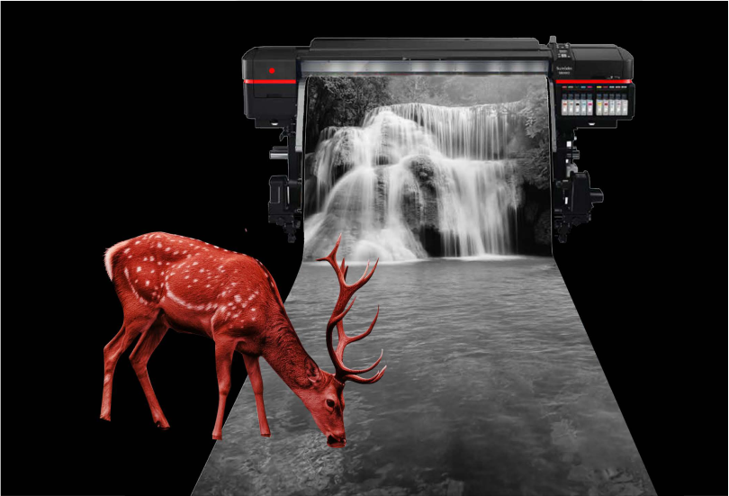 الطباعة والإنتاج التنفيذي